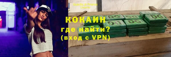 молекула духа Пересвет