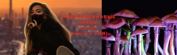 дживик Осинники