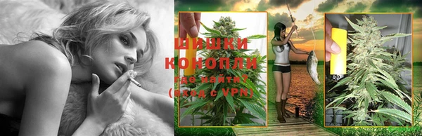 дживик Осинники