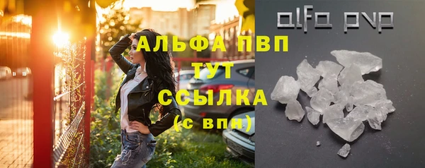 дживик Осинники