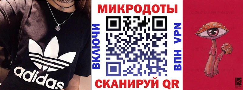 Псилоцибиновые грибы Psilocybe  Тверь 