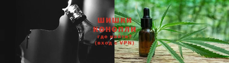 Бошки марихуана план  blacksprut зеркало  Тверь  где купить наркоту 