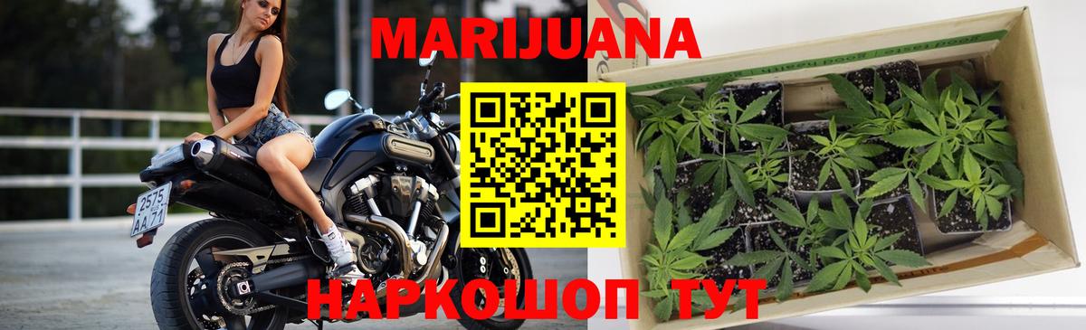 Марихуана White Widow Тверь