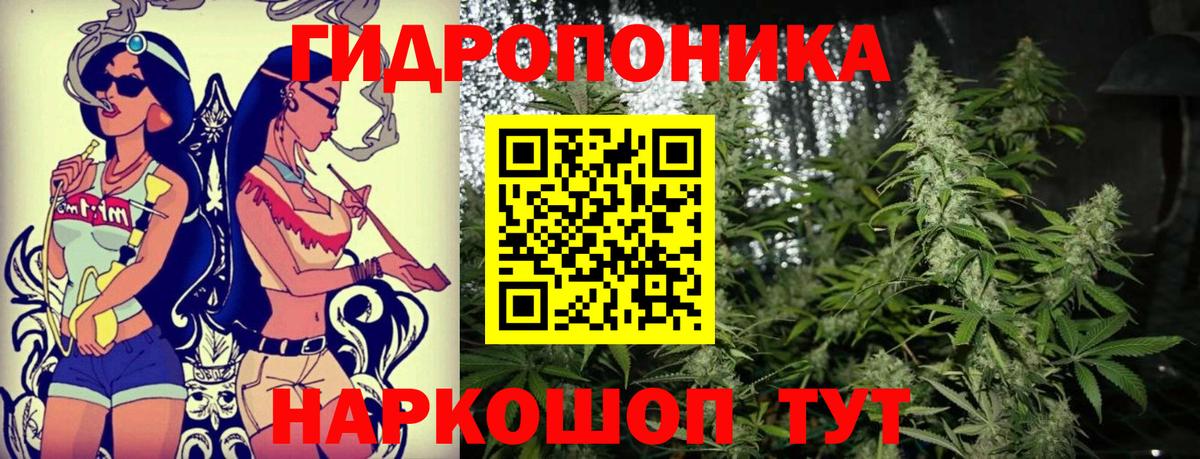 Канабис семена  Шишки марихуана AK-47  Вход с VPN  Тверь  Каннабис конопля 